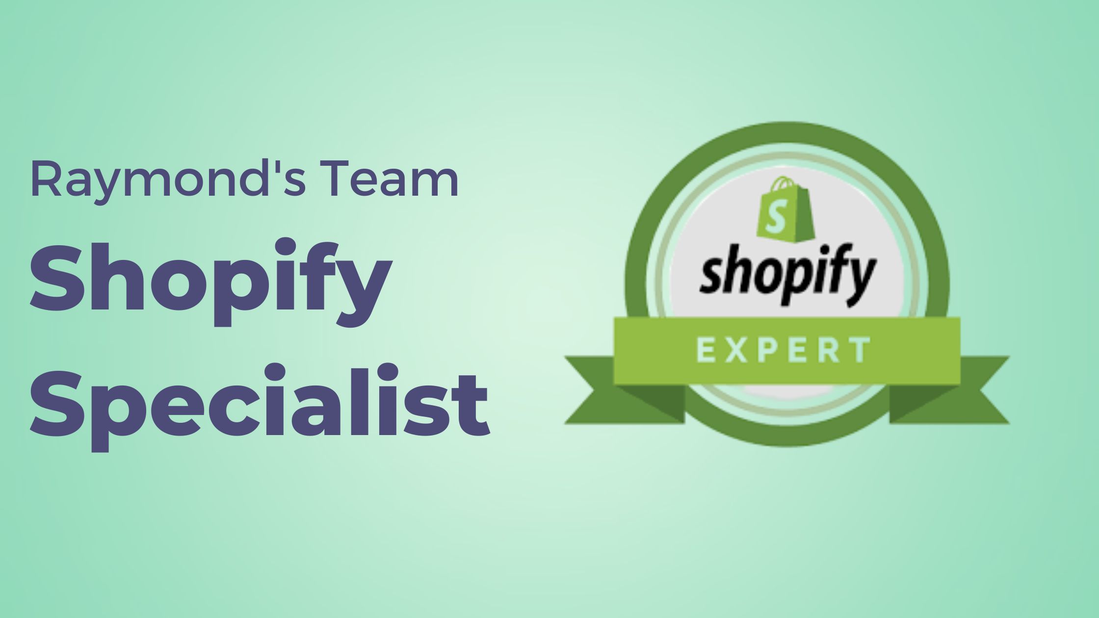 Raymond's Team Shopify Specialist